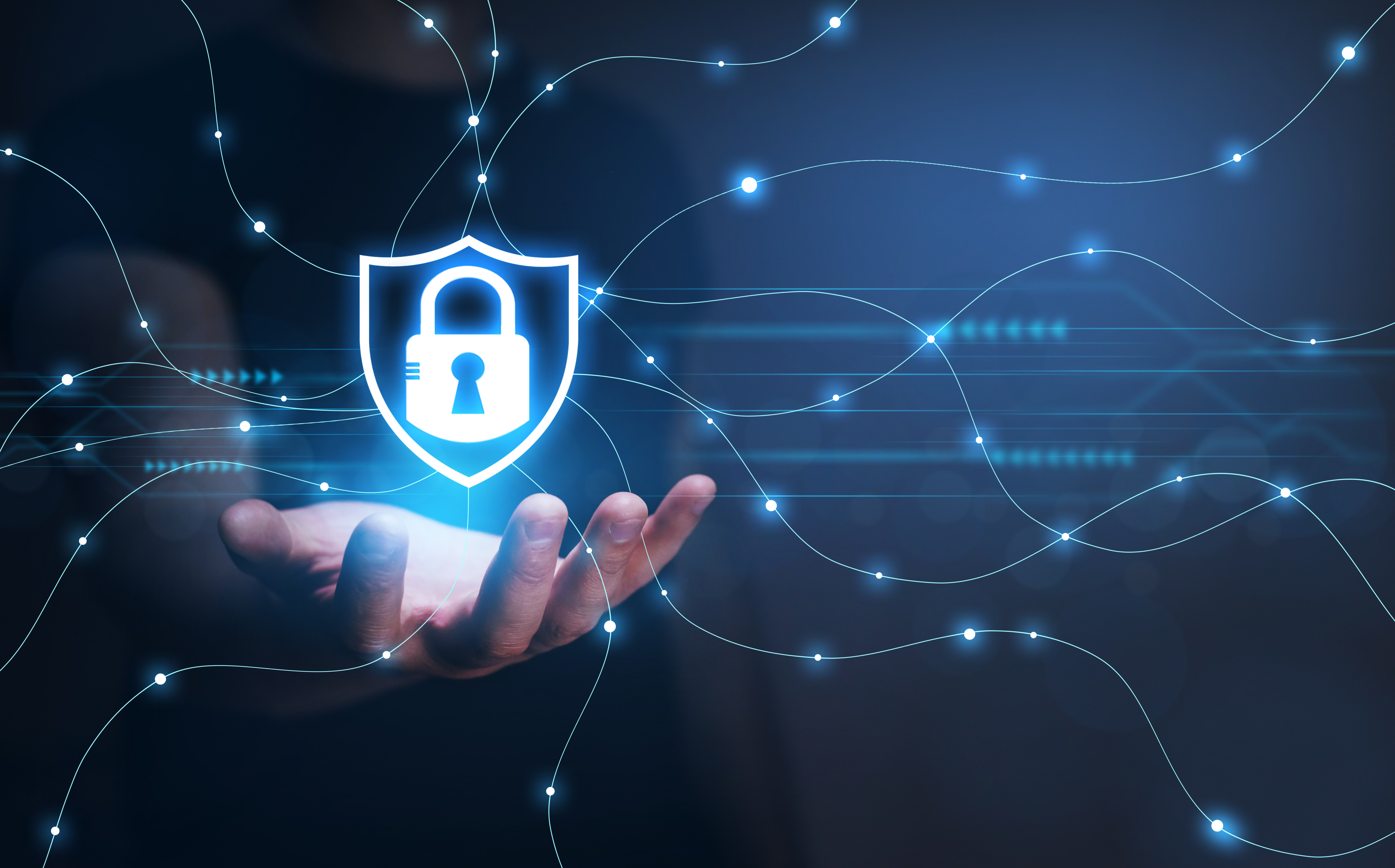 Fraud Prevention Banner